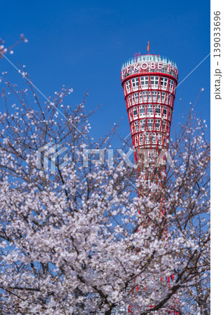 神戸ポートタワーと桜 メリケンパーク 神戸ポートタワーと桜 メリケンパーク 139033696