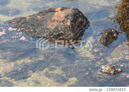 Intertidal Coastal Rocks In Clear Water 139033833