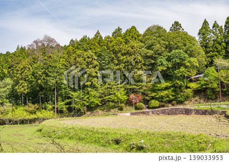 明日香村の棚田 奈良県 明日香村の棚田 奈良県 139033953