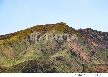 Sloping mountain peak with mixed vegetation under bright sky Sloping mountain peak with mixed vegetation under bright sky 139034468
