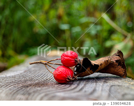 Ripe hawthorn fruit and withered leaves on an ancient board. Unusual perspective macro shot with autumn textures, scarlet berries and fragile foliage on a weathered wooden surface. 139034628