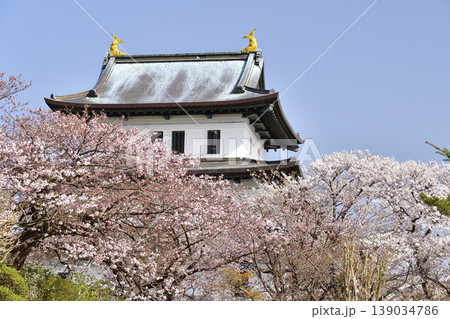 春の北海道松前町で松前城址公園の風景を撮影 139034786