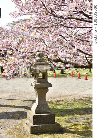 春の北海道松前町で松前神社境内の風景を撮影 春の北海道松前町で松前神社境内の風景を撮影 139035000