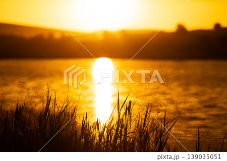 Sunset over lake water with silhouette of grass in foreground. Sunset over lake water with silhouette of grass in foreground. 139035051