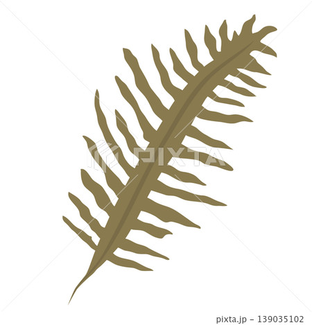 ワカメ　海藻のアイコンイラスト 139035102