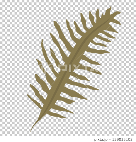 ワカメ　海藻のアイコンイラスト 139035102