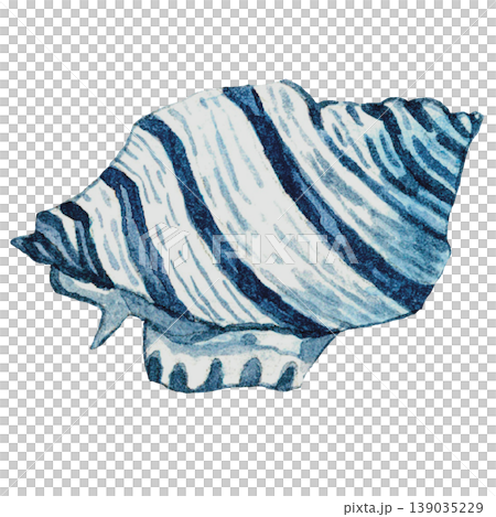 Blue Striped Seashell Illustration Ocean Shell Clipart 139035229