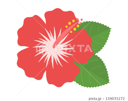 ハイビスカスのアイコン　レッド 139035272