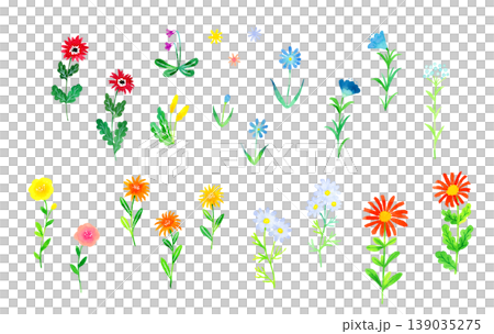一套簡潔、色彩豐富、風格時尚的花卉插圖：手繪水彩植物插圖。 139035275