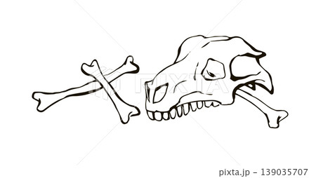 Bones and skull of a horse. Vector drawing 139035707