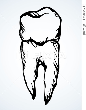 The layout of tooth. Vector drawing The layout of tooth. Vector drawing 139035712