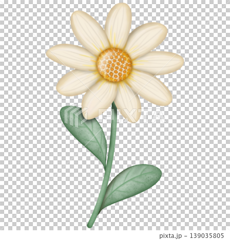 Daisy cute hand drawn, Flower watercolor spring floral bouquet Decorative with ribbon set. Hand drawn pastel flower, leaf, Cute nature element design. for decoration card.	 139035805