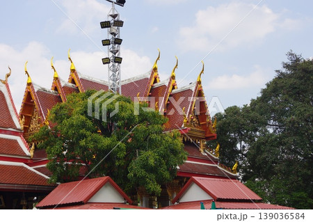 タイ バンコク  ワット・パクナムの屋根 139036584