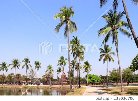 Ancient chedi and palms near pond, Sukhothai historical park, Thailand. Picturesque landscape with stone stupa in Sukhothai old city, Northern Thailand. Topic of vacation, travel, trip, cruise, tour Ancient chedi and palms near pond, Sukhothai historical park, Thailand. Picturesque landscape with stone stupa in Sukhothai old city, Northern Thailand. Topic of vacation, travel, trip, cruise, tour 139036706