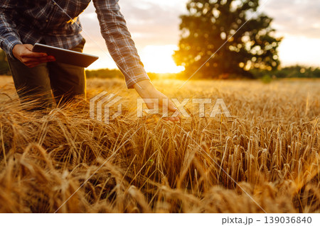 Farmer working with Tablet on wheat field. Smart farming and digital agriculture. Growth dynamics. Farmer working with Tablet on wheat field. Smart farming and digital agriculture. Growth dynamics. 139036840