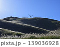 細野高原 139036928