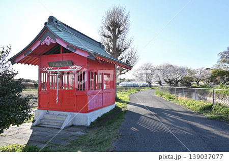 見沼田圃:見沼弁財天 見沼田圃:見沼弁財天 139037077
