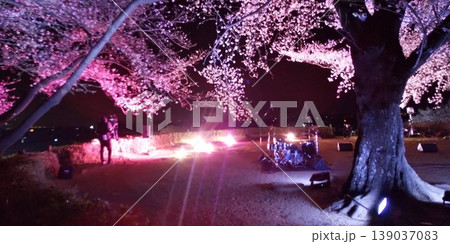 ライトアップされた夜桜と楽器 古墳に咲く幻想的な春の夜 ライトアップされた夜桜と楽器 古墳に咲く幻想的な春の夜 139037083