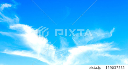 爽やかな青空に鳥が羽ばたいているかのような雲の風景 爽やかな青空に鳥が羽ばたいているかのような雲の風景 139037283