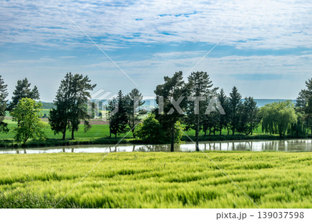 Countryside landscape with sky and fields, real life photo Countryside landscape with sky and fields, real life photo 139037598