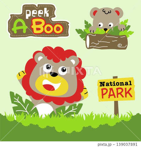 Funny lion with bear playing peek a boo in forest, vector cartoon illustration 139037891