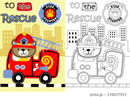 vector cartoon of cute bear driving firetruck, coloring book or page 139037951