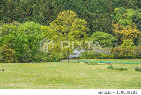 石舞台古墳芝生広場　奈良県明日香村 139038193