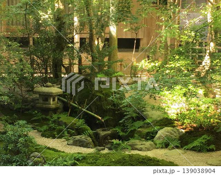 苔むした岩と蹲、石灯籠と木漏れ日が美しい侘び寂びの庭園風景 苔むした岩と蹲、石灯籠と木漏れ日が美しい侘び寂びの庭園風景 139038904