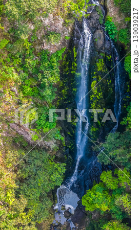 April 19 2026 Pak Shui Wun Forest Waterfall Gorge April 19 2026 Pak Shui Wun Forest Waterfall Gorge 139039217