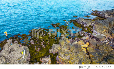 April 19 2026 the Port Shelter Intertidal Rocky Shore 139039227