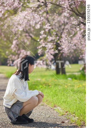 春休みの桜満開の公園で花見する女子中学生の姿 春休みの桜満開の公園で花見する女子中学生の姿 139039246