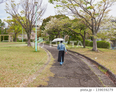 春の桜満開の公園で日傘を持って散歩する中年女性の姿 春の桜満開の公園で日傘を持って散歩する中年女性の姿 139039279