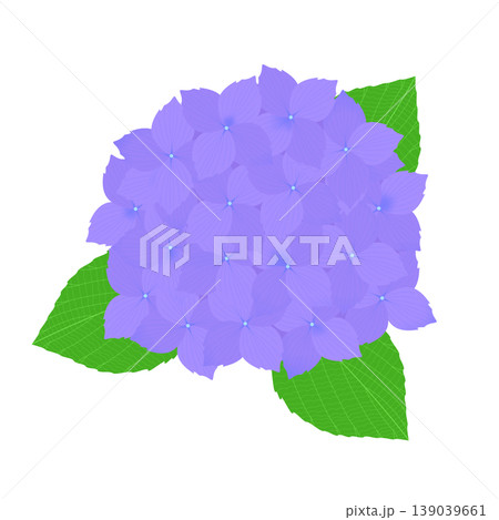 紫陽花のイラスト 紫陽花のイラスト 139039661