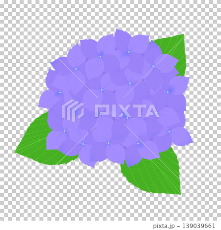 紫陽花のイラスト 紫陽花のイラスト 139039661