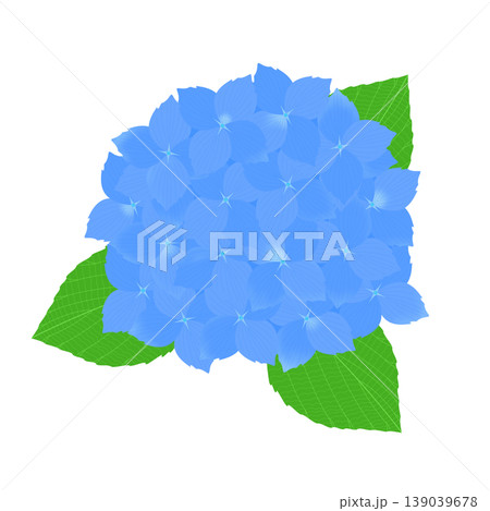 紫陽花のイラスト 139039678