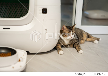 tabby cat sitting next to a modern automatic self-cleaning litter box and a smart automatic pet feeder at home. 139039747