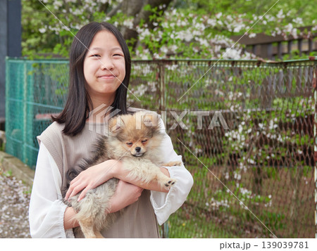 春の桜満開の公園で可愛いポメラニアンの子犬を連れて花見する女子中学生の姿 139039781