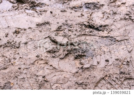 Wildlife tracks are visible in the mud near a body of water Wildlife tracks are visible in the mud near a body of water 139039821