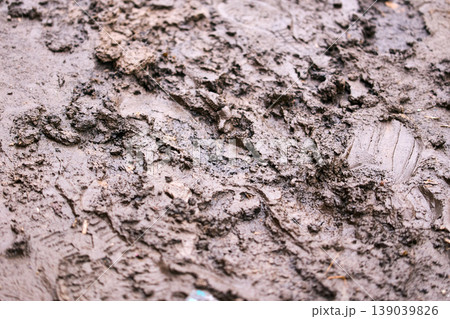 Detailed macro texture of wet brown mud and clay, organic earth surface background 139039826