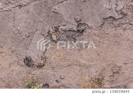 Dirty ground texture during spring thaw: Melted snow, mud, and last year's grass on a rural path 139039845