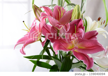 美しい百合の花 139040094