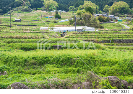 明日香村の景勝地 阪田の棚田 奈良県 明日香村の景勝地 阪田の棚田 奈良県 139040325