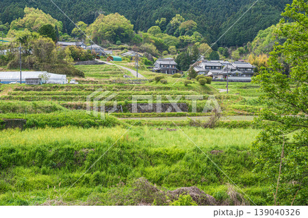 明日香村の景勝地 阪田の棚田 奈良県 明日香村の景勝地 阪田の棚田 奈良県 139040326