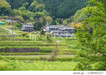 明日香村の景勝地 阪田の棚田 奈良県 明日香村の景勝地 阪田の棚田 奈良県 139040327