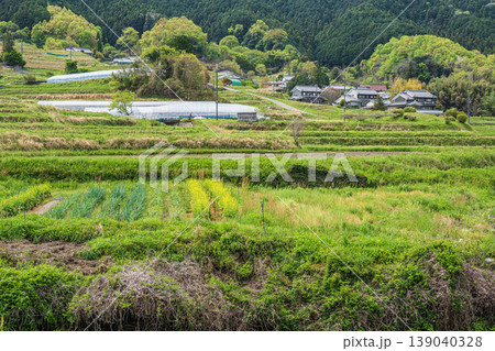 明日香村の景勝地 阪田の棚田 奈良県 明日香村の景勝地 阪田の棚田 奈良県 139040328