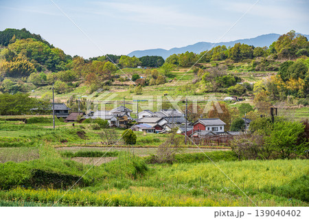 明日香村棚田風景 阪田から飛鳥歴史公園祝戸地区方面の眺め 明日香村棚田風景 阪田から飛鳥歴史公園祝戸地区方面の眺め 139040402