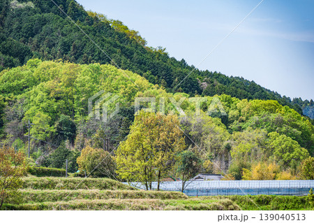 明日香村の景勝地 阪田の棚田 奈良県明日香村 明日香村の景勝地 阪田の棚田 奈良県明日香村 139040513