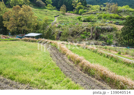 明日香村の景勝地 阪田の棚田 奈良県明日香村 明日香村の景勝地 阪田の棚田 奈良県明日香村 139040514