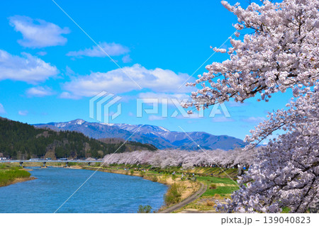 春 桜 桧木内川 春 桜 桧木内川 139040823