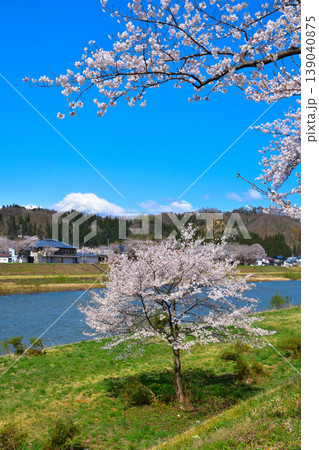 春 桜 桧木内川 春 桜 桧木内川 139040875